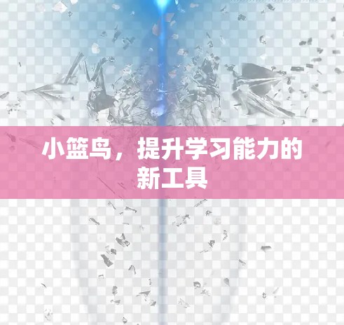 小篮鸟,提升学习能力的新工具 小篮鸟,提升学习能力的新工具