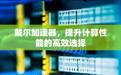戴尔加速器，提升计算性能的高效选择