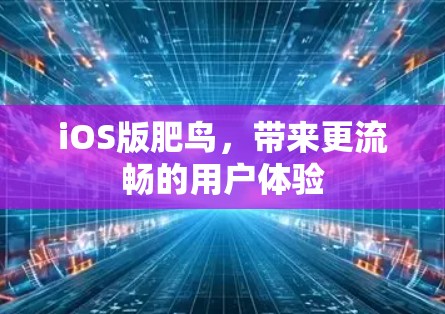 iOS版肥鸟,带来更流畅的用户体验