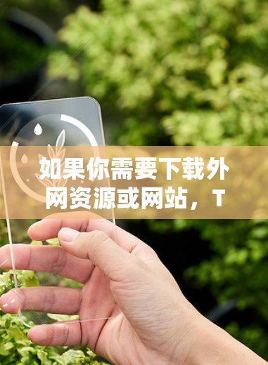 如果你需要下载外网资源或网站，ThunderNet可以帮助你节省时间，避免延迟。如果你有其他特定的需求或问题，可以进一步探讨或咨询相关社区和论坛，以获得更专业的建议