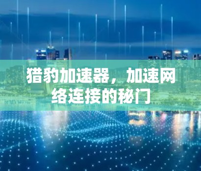 猎豹加速器,加速网络连接的秘门 猎豹加速器,加速网络连接的秘门