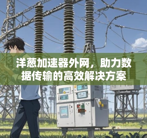 洋葱加速器外网,助力数据传输的高效解决方案 洋葱加速器外网,助力数据传输的高效解决方案