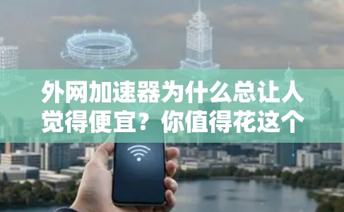 外网加速器为什么总让人觉得便宜?你值得花这个钱吗? 外网加速器为什么总让人觉得便宜?你值得花这个钱吗?