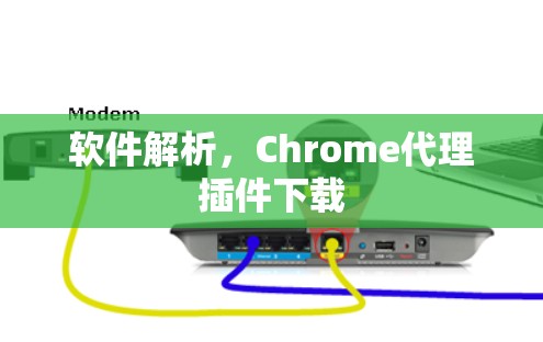 软件解析,Chrome代理插件下载 软件解析,Chrome代理插件下载