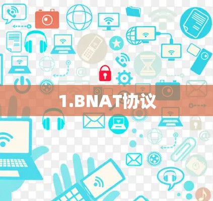 1.BNAT协议 1.BNAT协议
