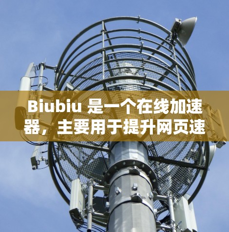 Biubiu 是一个在线加速器，主要用于提升网页速度和下载速度。如果你正在寻找一个可靠且功能强大的加速器，可以尝试以下几种方法