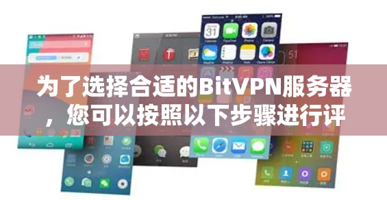 为了选择合适的BitVPN服务器,您可以按照以下步骤进行评估 为了选择合适的BitVPN服务器,您可以按照以下步骤进行评估