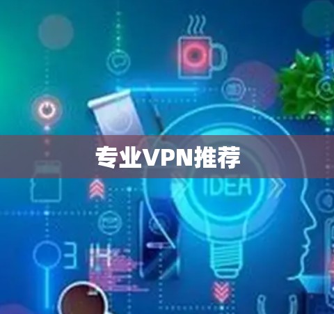 专业VPN推荐 专业VPN推荐