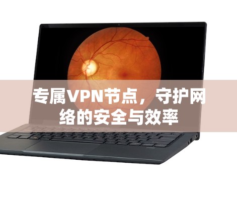 专属VPN节点,守护网络的安全与效率 专属VPN节点,守护网络的安全与效率