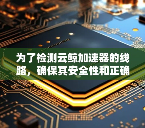 为了检测云鲸加速器的线路，确保其安全性和正确性，可以按照以下步骤操作