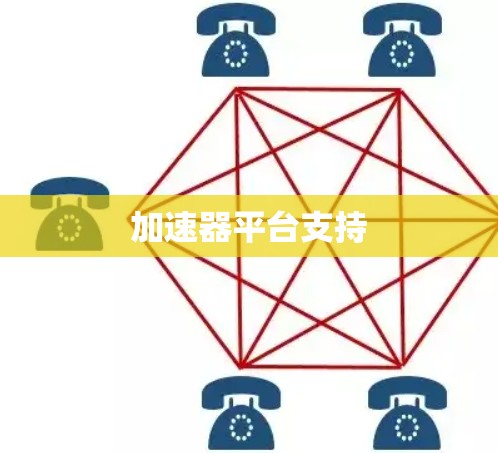 加速器平台支持 加速器平台支持