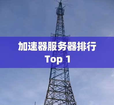 加速器服务器排行Top 1