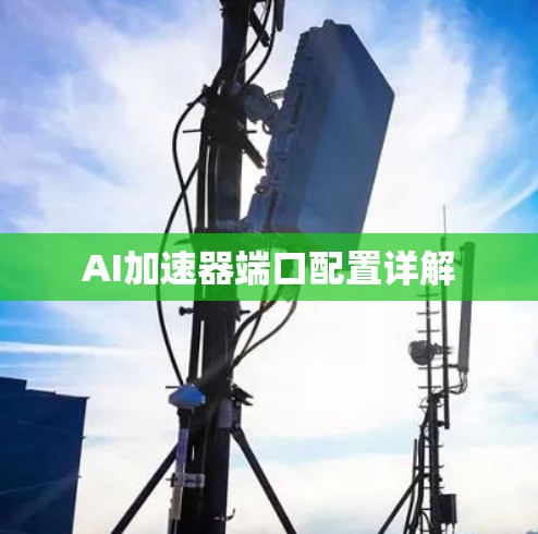 AI加速器端口配置详解 AI加速器端口配置详解