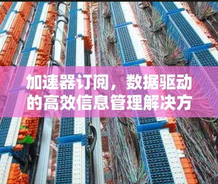 加速器订阅,数据驱动的高效信息管理解决方案 加速器订阅,数据驱动的高效信息管理解决方案