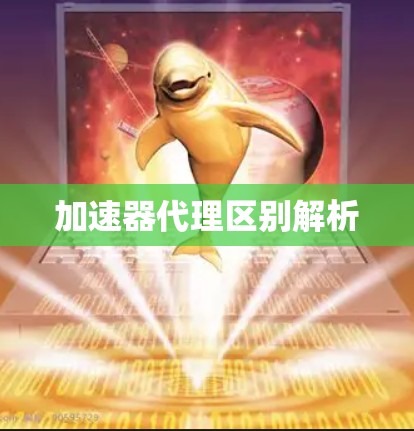 加速器代理区别解析 加速器代理区别解析