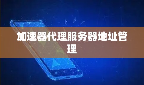 加速器代理服务器地址管理