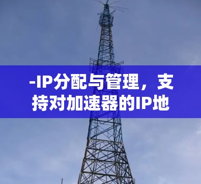 -IP分配与管理,支持对加速器的IP地址进行高效分配和管理,确保资源的高效利用 -IP分配与管理,支持对加速器的IP地址进行高效分配和管理,确保资源的高效利用