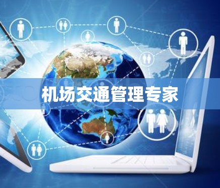 机场交通管理专家 机场交通管理专家