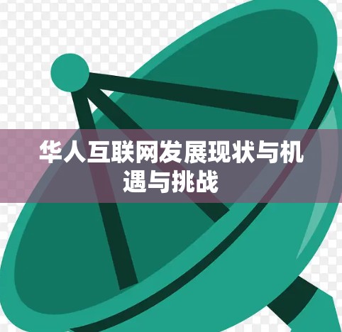 华人互联网发展现状与机遇与挑战 华人互联网发展现状与机遇与挑战