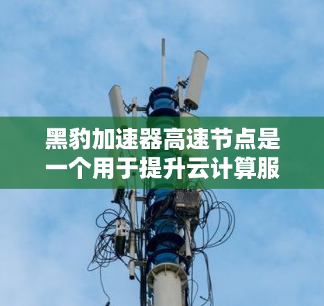 黑豹加速器高速节点是一个用于提升云计算服务器到云端性能的硬件设备,旨在解决服务器到云平台的加速问题。以下是关于该设备的详细信息 黑豹加速器高速节点是一个用于提升云计算服务器到云端性能的硬件设备,旨在解决服务器到云平台的加速问题。以下是关于该设备的详细信息