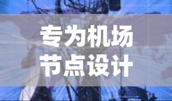 专为机场节点设计的黑豹VPN服务器推荐 专为机场节点设计的黑豹VPN服务器推荐