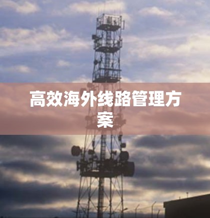 高效海外线路管理方案 高效海外线路管理方案