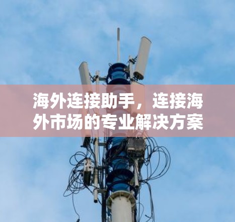 海外连接助手，连接海外市场的专业解决方案