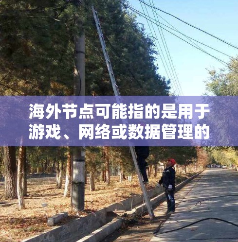 海外节点可能指的是用于游戏、网络或数据管理的软件，但具体下载信息取决于你所指的是哪个软件。以下是一些可能相关的软件和下载链接，供你参考