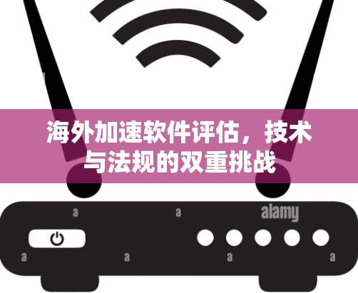 海外加速软件评估，技术与法规的双重挑战