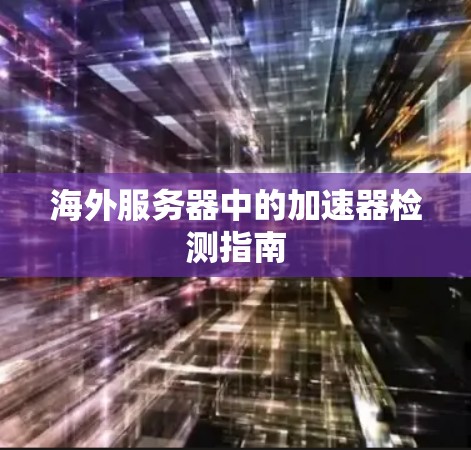 海外服务器中的加速器检测指南