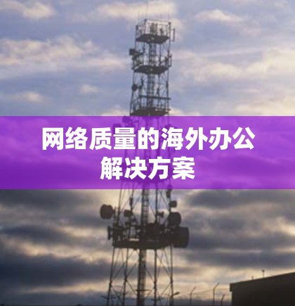 网络质量的海外办公解决方案 网络质量的海外办公解决方案