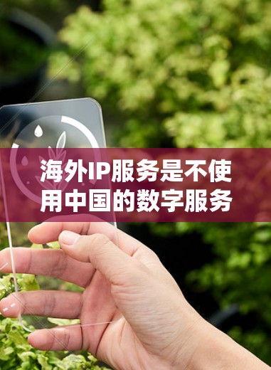 海外IP服务是不使用中国的数字服务，而是使用其他国家的数字服务，如中国的国外服务器、美国的服务器等。以下是一些关键点，帮助你更好地理解和使用这些服务