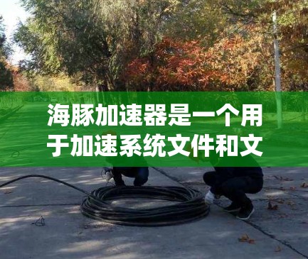 海豚加速器是一个用于加速系统文件和文件对齐的工具,广泛应用于编程和系统优化。以下是一个详细的使用指南,帮助您理解和操作海豚加速器 海豚加速器是一个用于加速系统文件和文件对齐的工具,广泛应用于编程和系统优化。以下是一个详细的使用指南,帮助您理解和操作海豚加速器