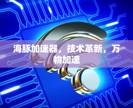 海豚加速器，技术革新，万物加速