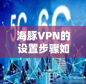 海豚VPN的设置步骤如下
