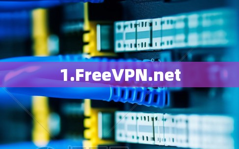 1.FreeVPN.net 1.FreeVPN.net