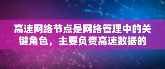 高速网络节点是网络管理中的关键角色，主要负责高速数据的传输和处理。以下是对高速网络节点的详细分析