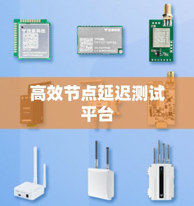 高效节点延迟测试平台
