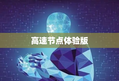 高速节点体验版